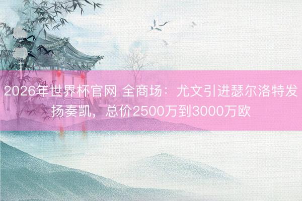 2026年世界杯官网 全商场：尤文引进瑟尔洛特发扬奏凯，总价2500万到3000万欧