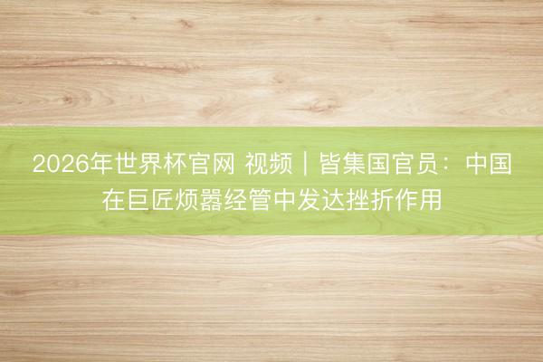 2026年世界杯官网 视频｜皆集国官员：中国在巨匠烦嚣经管中发达挫折作用